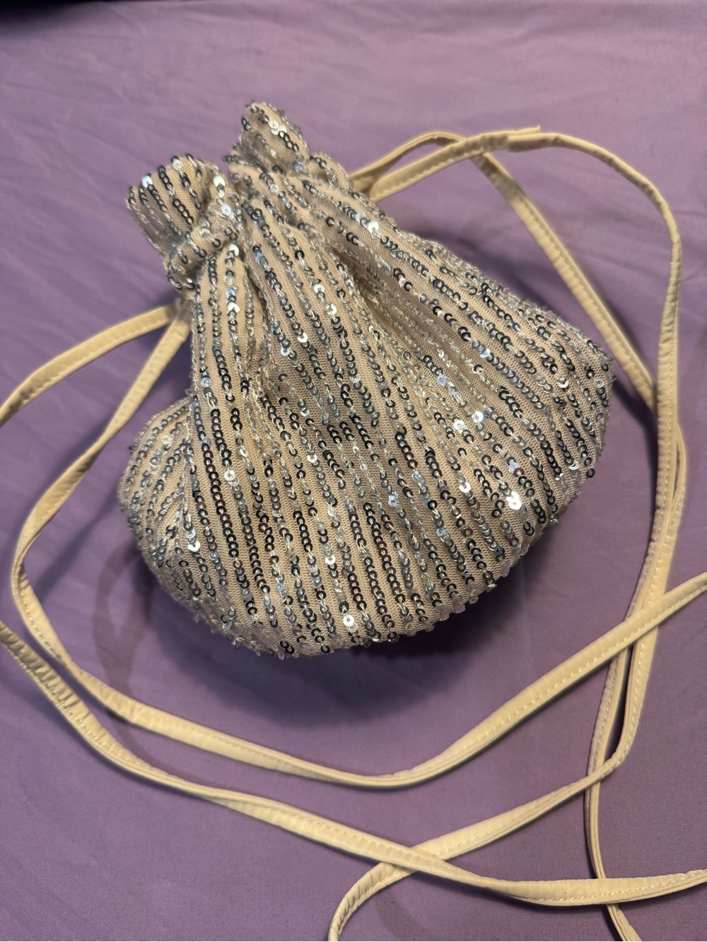 LOFT Silver Sequin Shimmer Party Event Drawstring Purse Clutch Handbag